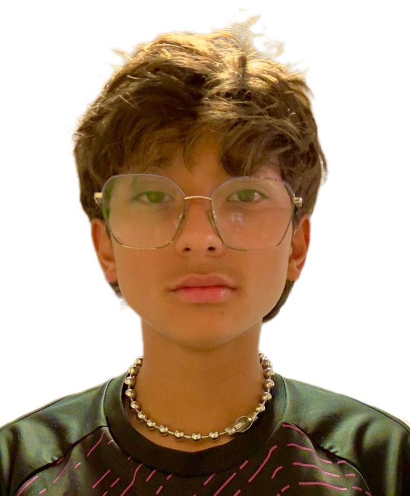 User Image