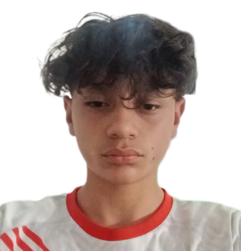 User Image